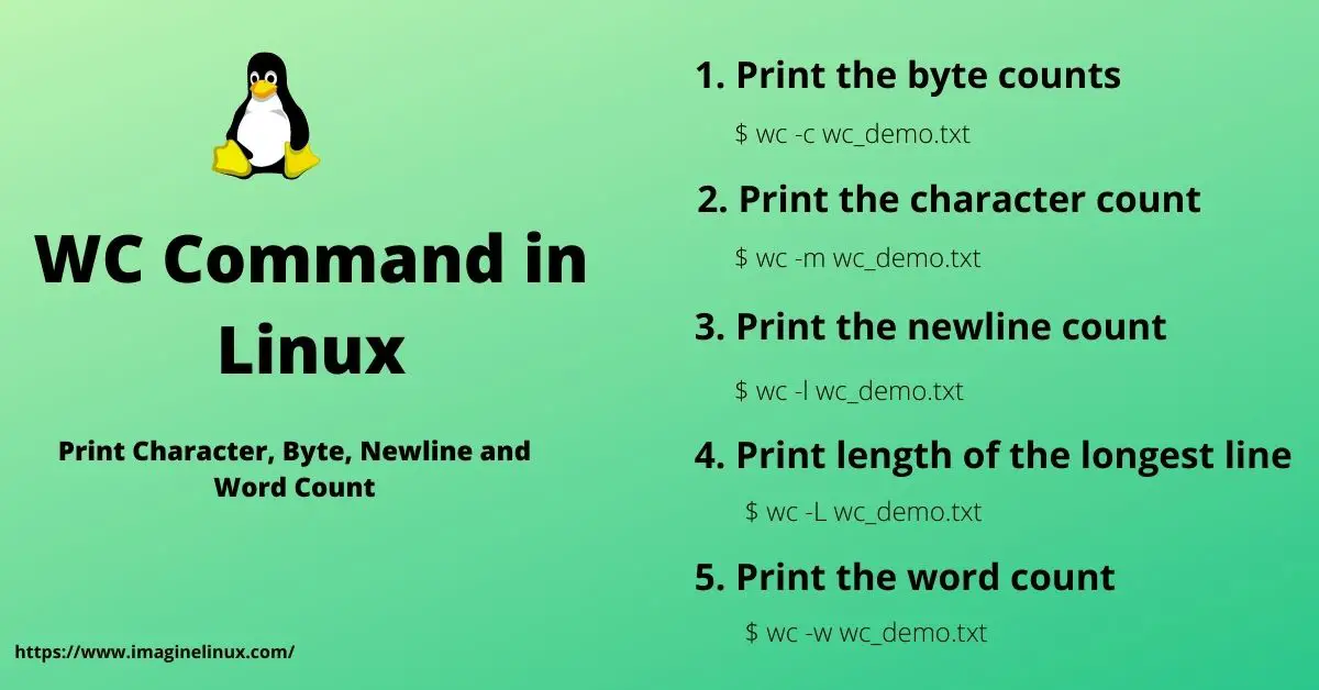 wc command in Linux