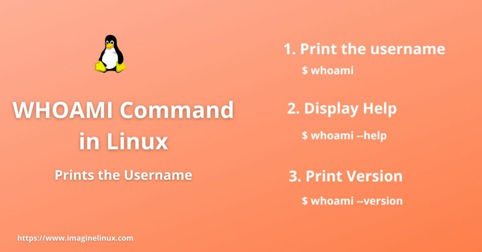 WHOAMI Command in Linux - Prints the Username - ImagineLinux