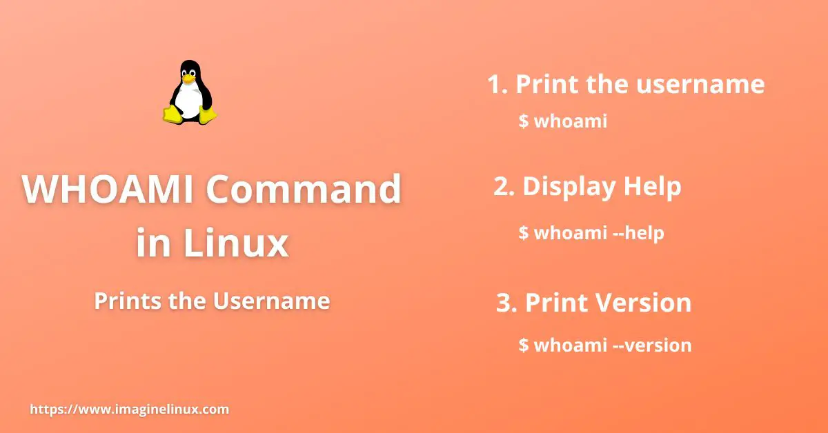 whoam command in Linux