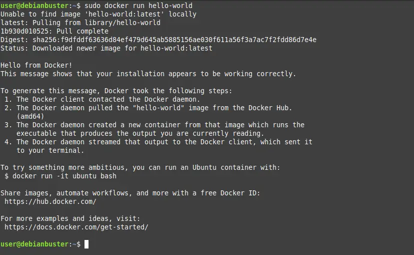 Testing the docker installation