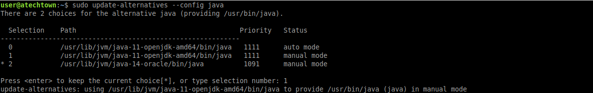 Set up the default java version