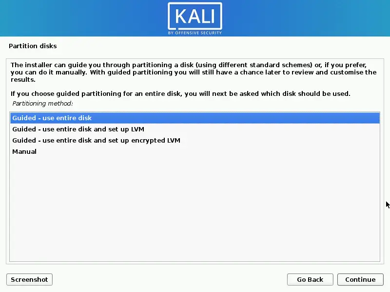 Partition Disk for Kali Linux