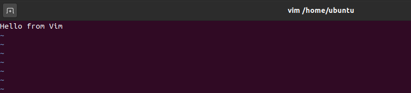 VIM working in Ubuntu 20.04