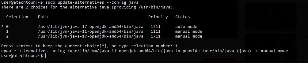 Java on Debian 11