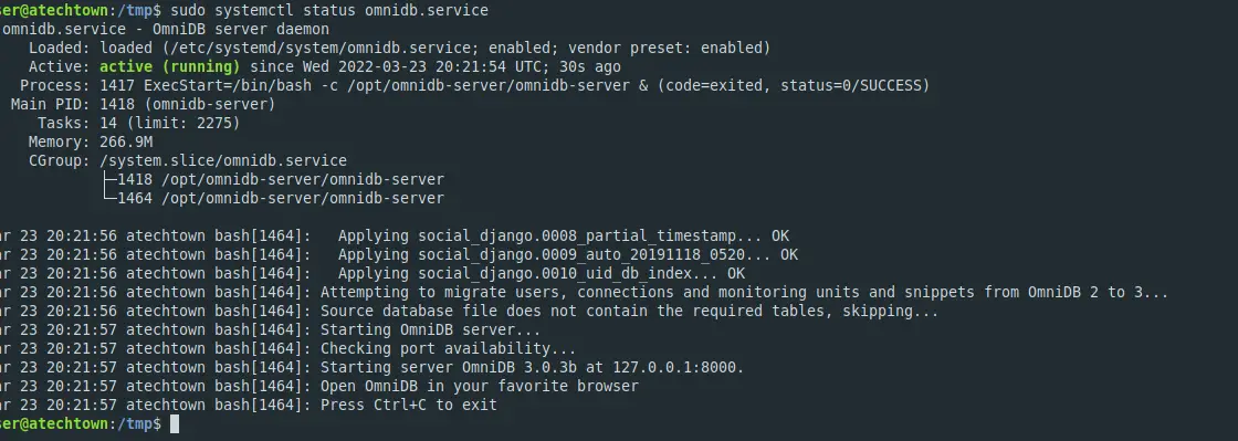 OmniDB service status