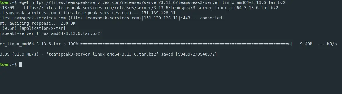 Download and install Teamspeak on Ubuntu 20.014