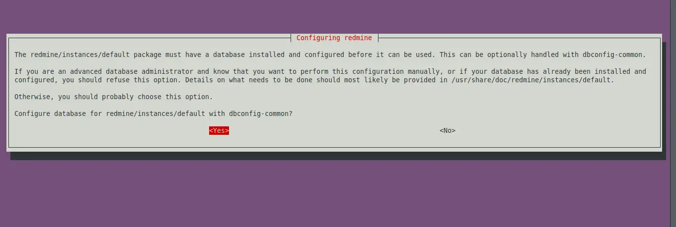 Install Redmine on Ubuntu 20.04