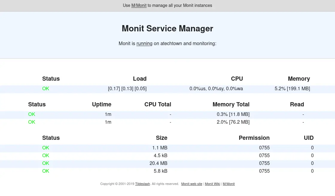Monit web inteface