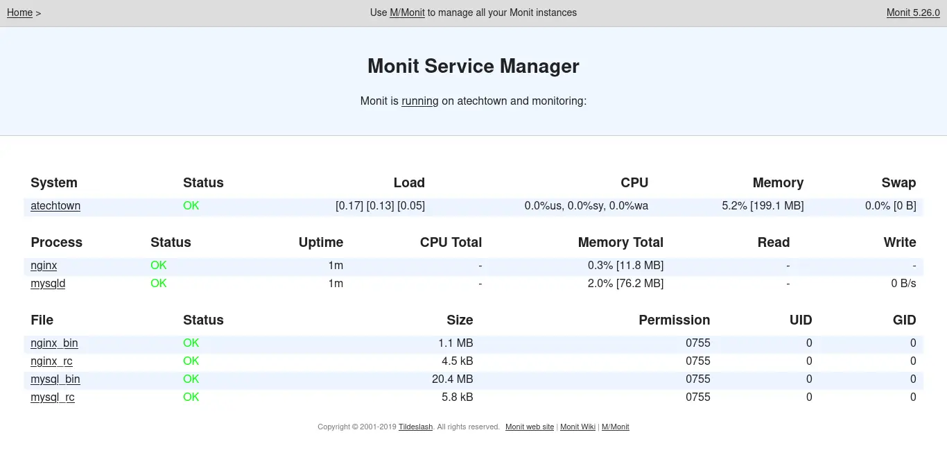 Monit web inteface