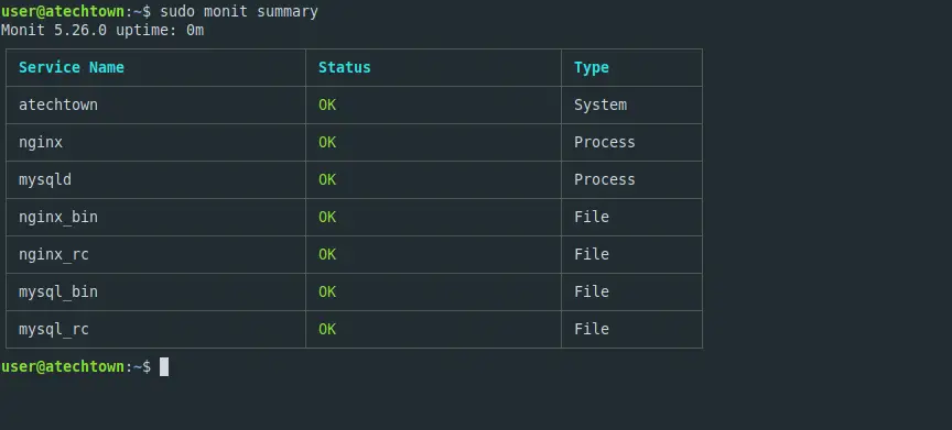 Monit summary