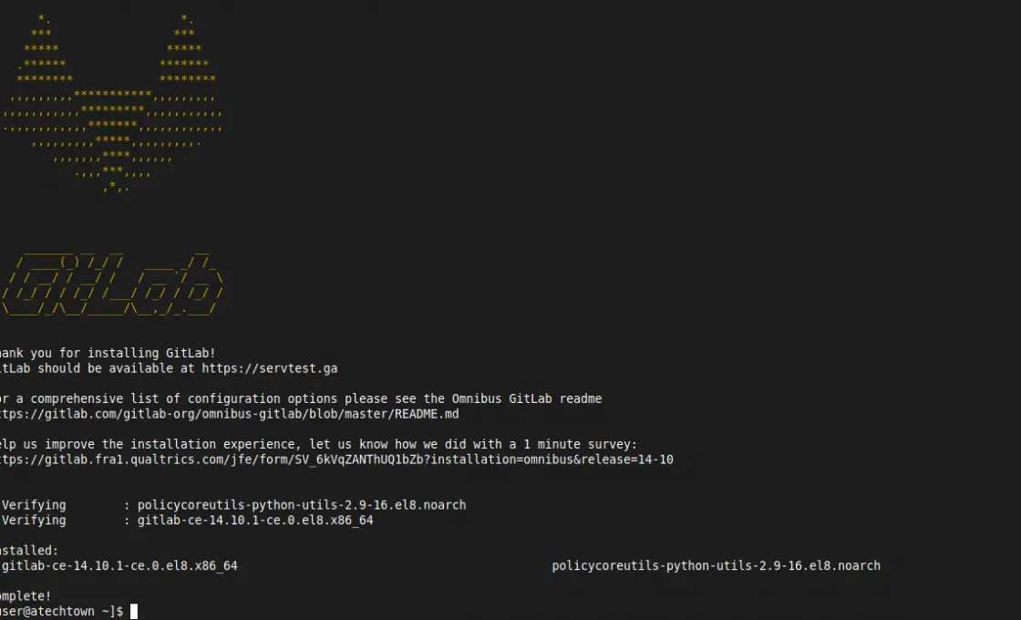 Gitlab installed on the system