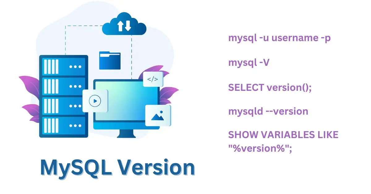 MySQL Version