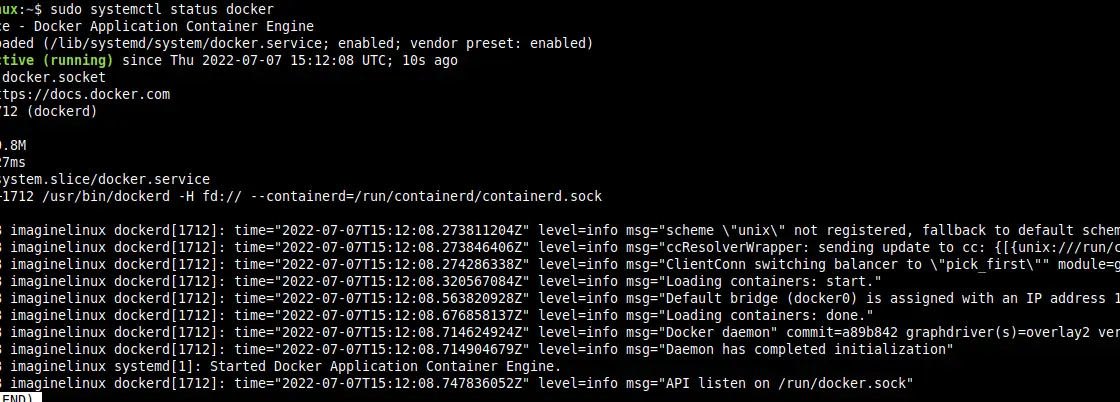 Docker status