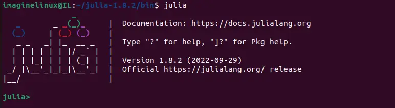 Running Julia