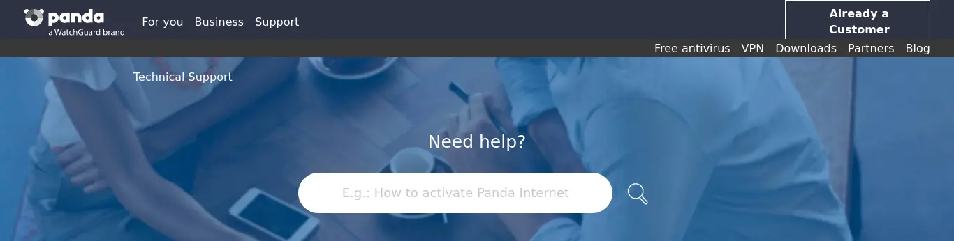 Panda Security