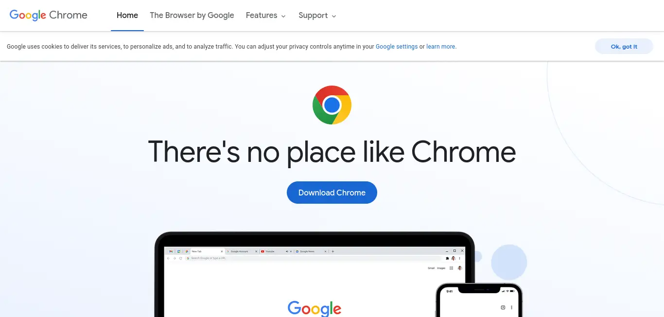 Google Chrome website