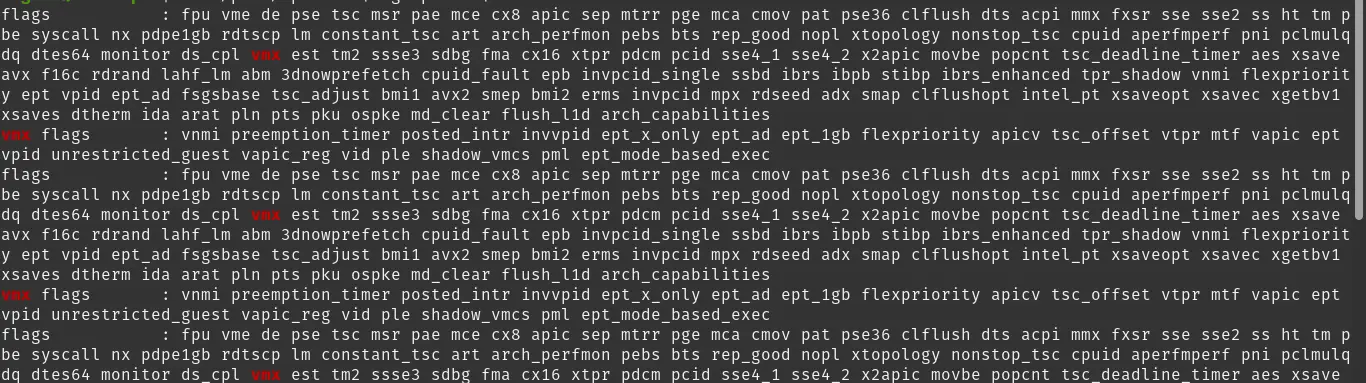 KVM compatibility with the processor